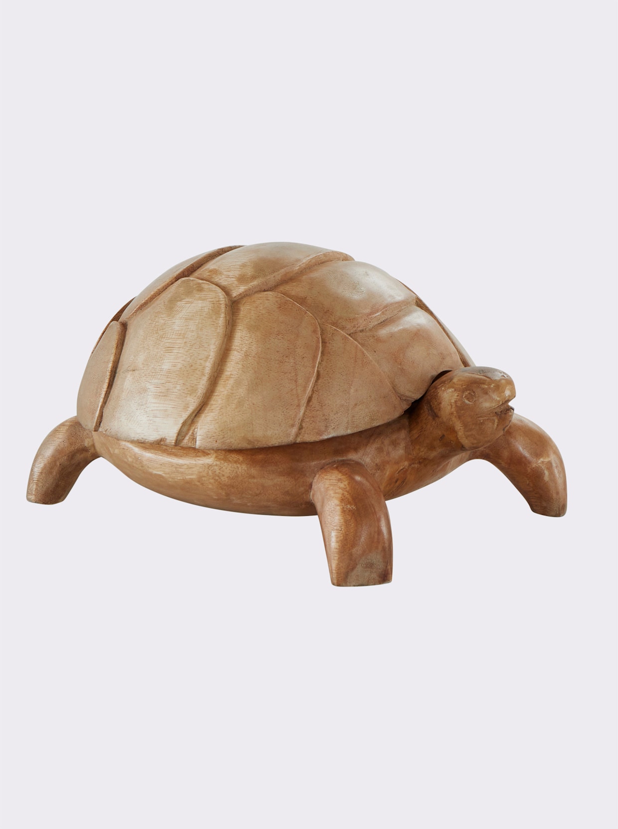 Schildkröten Figur natur